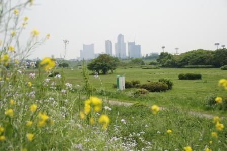 多摩川玉川公園