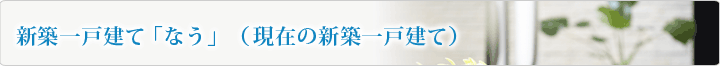 現在の新築一戸建て